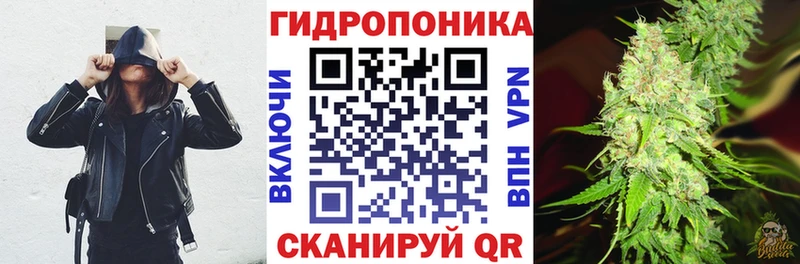Конопля планчик  blacksprut   Кремёнки 